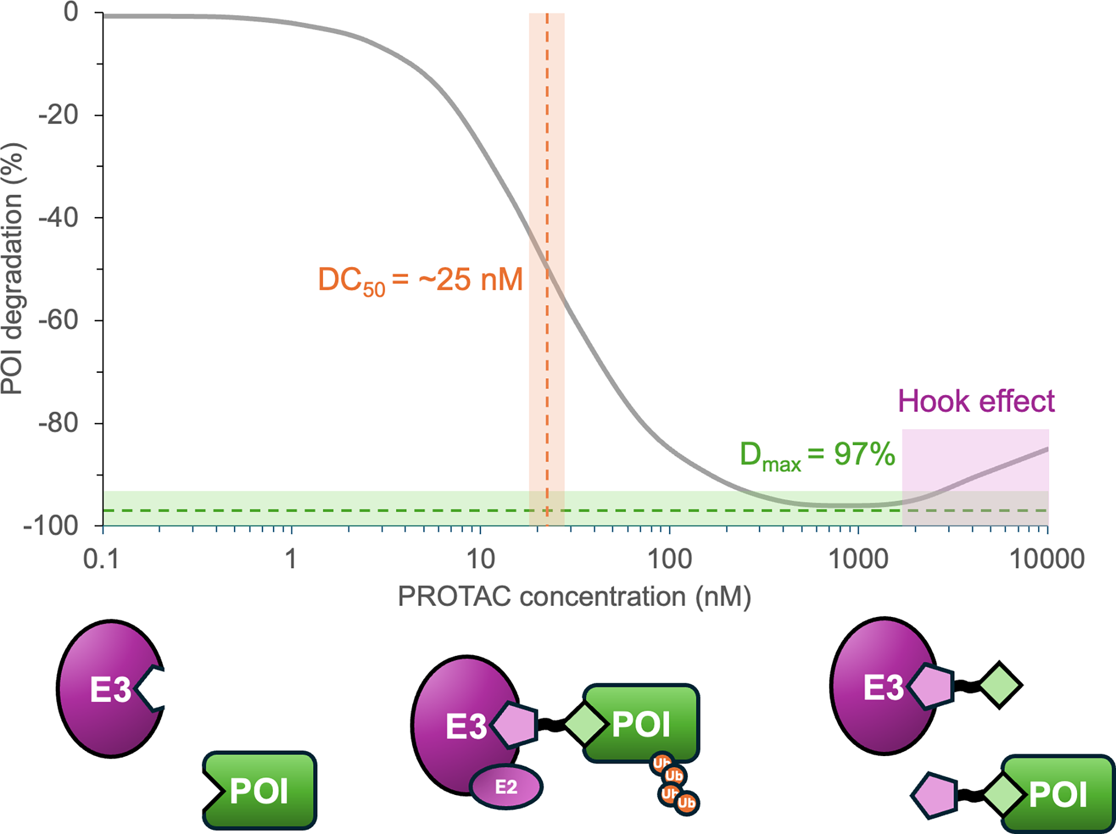 Concept figure showing mutant- or disease-selective PROTAC degradation using a mutant-protein binder and E3 recruiter.