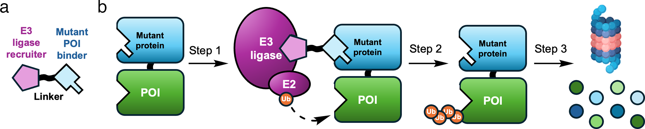 Figure showing representative PROTAC component ideas including target-binding warheads, common E3 ligase recruiters, and plausible attachment-vector positions.