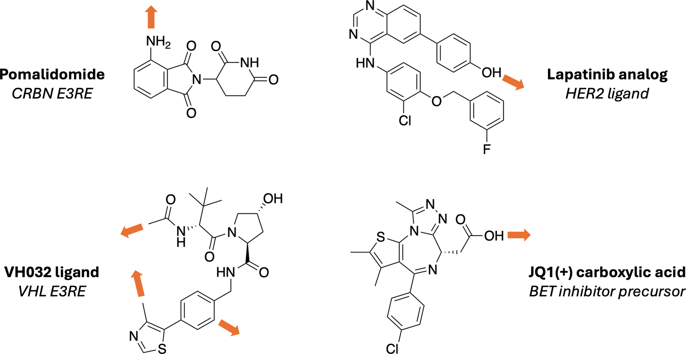 Figure comparing modular PROTAC synthesis acceleration approaches including click chemistry, CuAAC, SuFEx, and solid-phase organic synthesis.