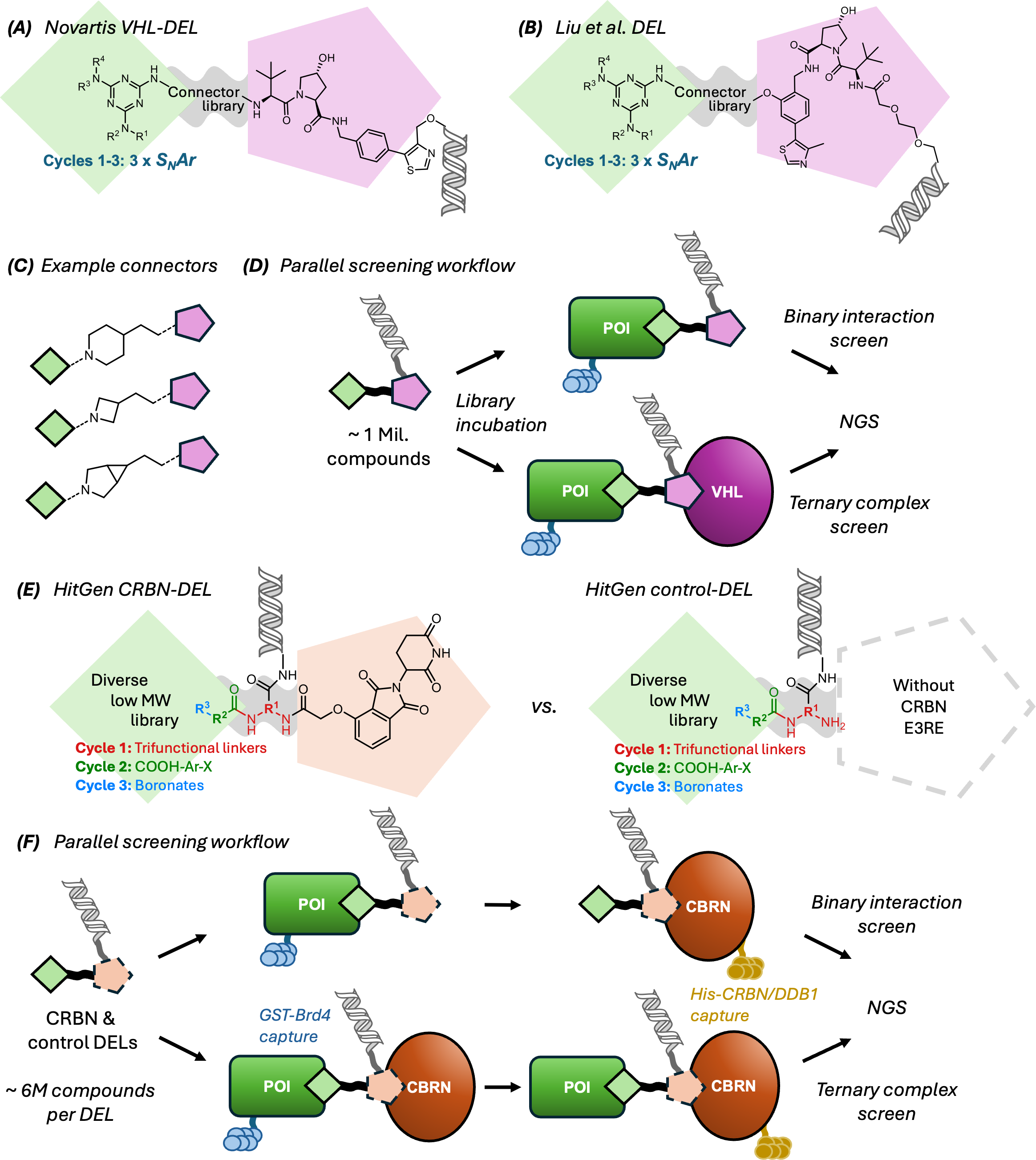 Direct-to-biology workflow showing parallel chemistry, direct bioassay of unpurified PROTACs, linker exit-vector identification, and hit selection.
