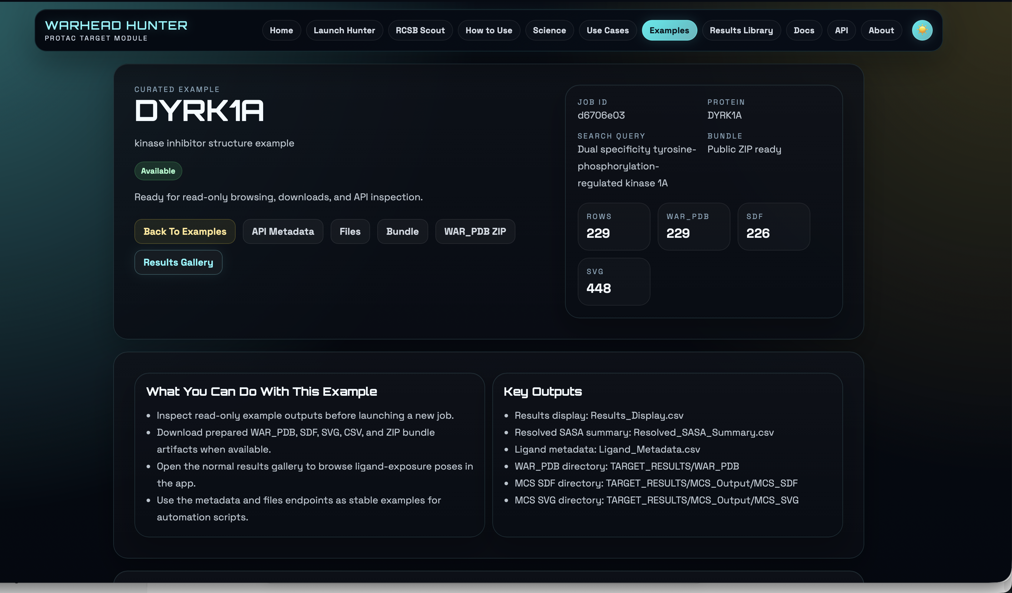 DYRK1A example page on Warhead Hunter showing a completed example job with downloadable structures, tables, SVG maps, and result links.